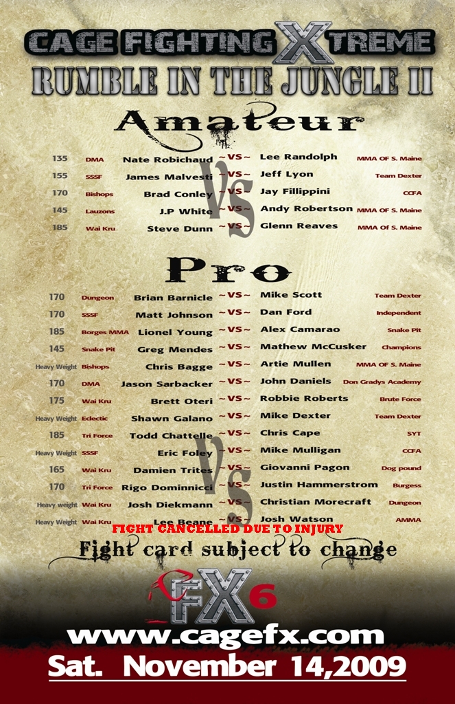 Rumblein the jungle II Fight card